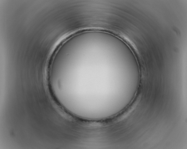 X0000113301085200909140940