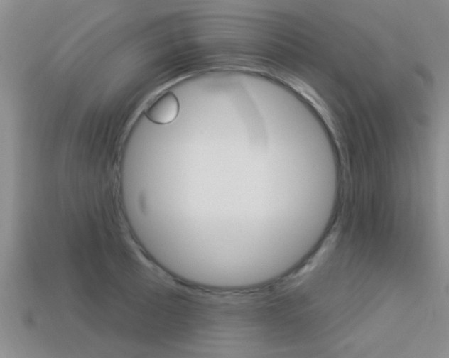 X0000113301089200909140940