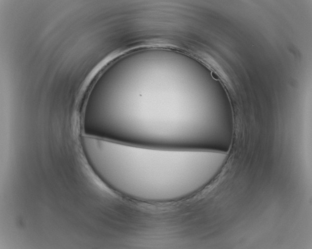 X0000113301092200909140940