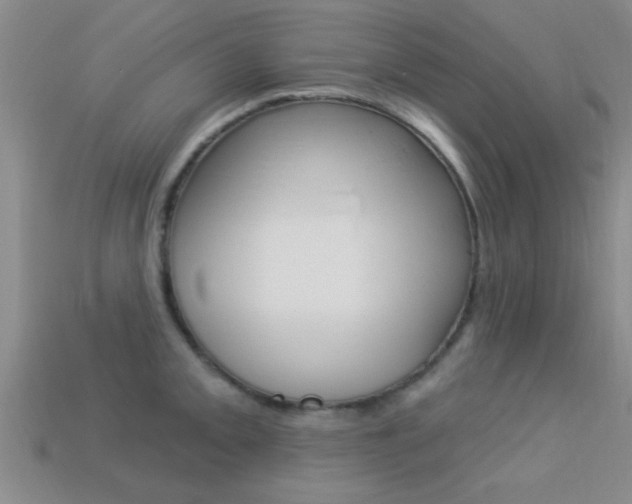 X0000113301093200909140940