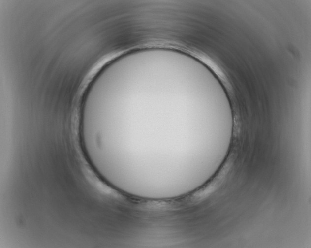 X0000113301094200909140940