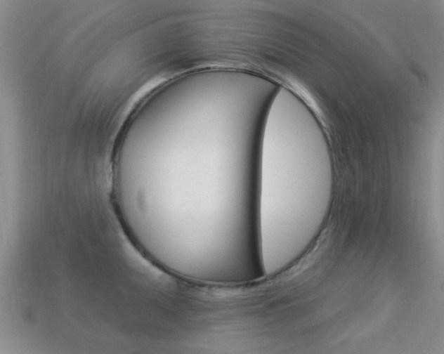 X0000113301095200909140940