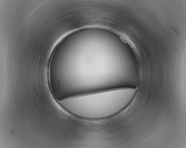 X0000113301100200909140940