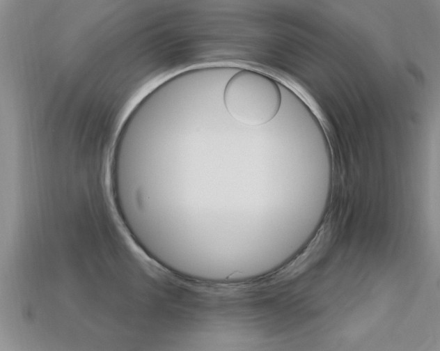 X0000113301101200909140940