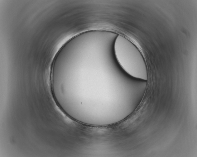 X0000113301103200909140940