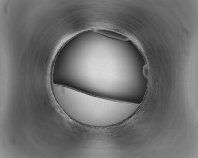 X0000113301104200909140940