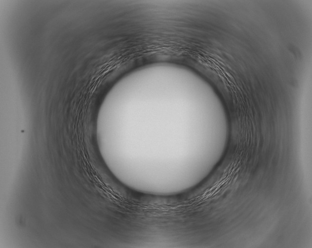 X0000113301105200909140939