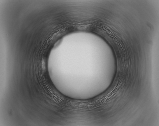 X0000113301106200909140939