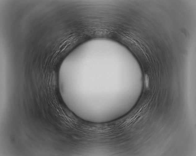 X0000113301107200909140939