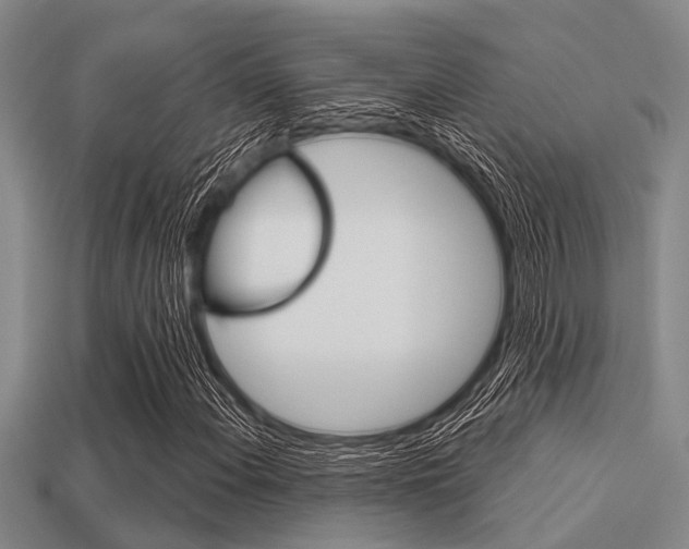 X0000113301108200909140939