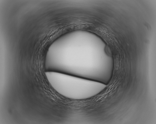 X0000113301109200909140939