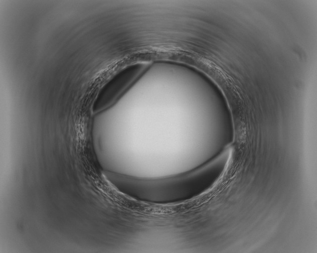 X0000113301110200909140939