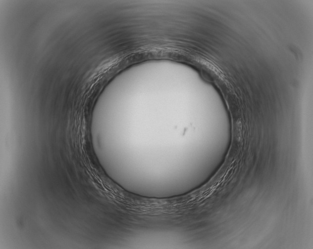 X0000113301111200909140939
