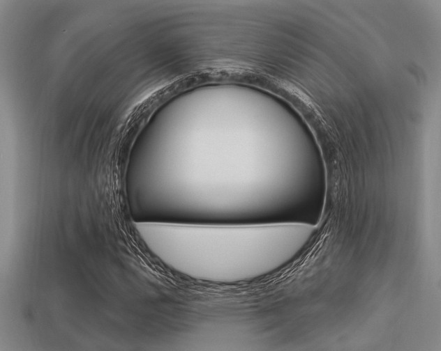 X0000113301112200909140939