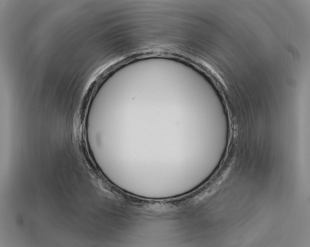 X0000113301117200909140939