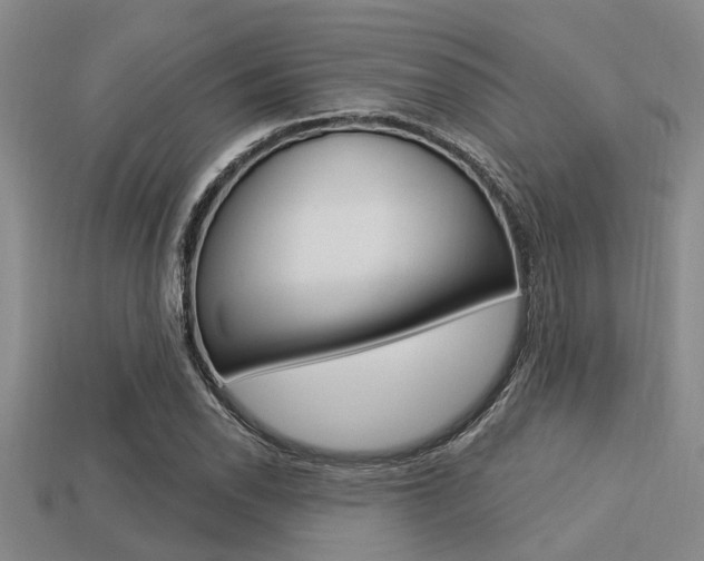 X0000113301118200909140939
