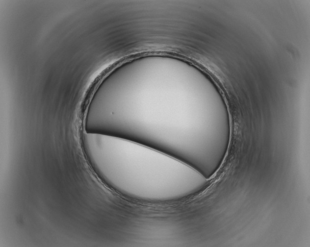 X0000113301119200909140940