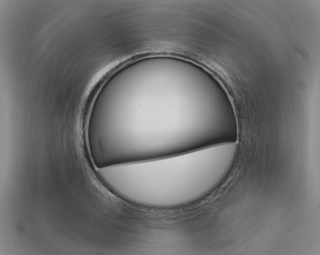 X0000113301120200909140940