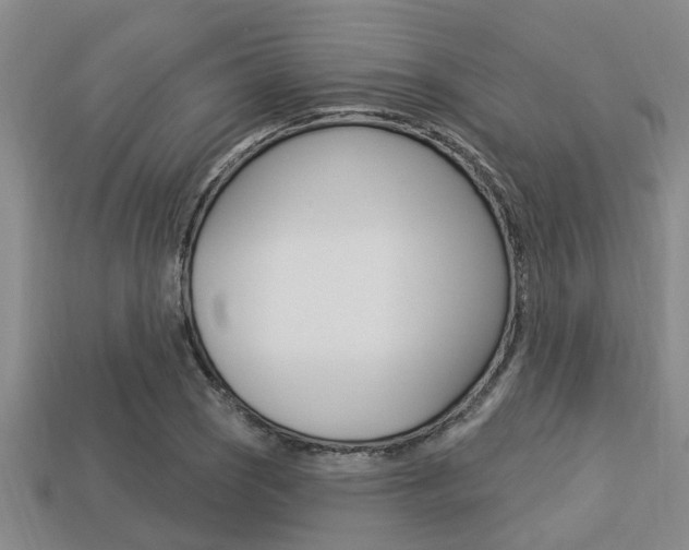X0000113301121200909140940