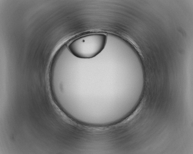 X0000113301122200909140940