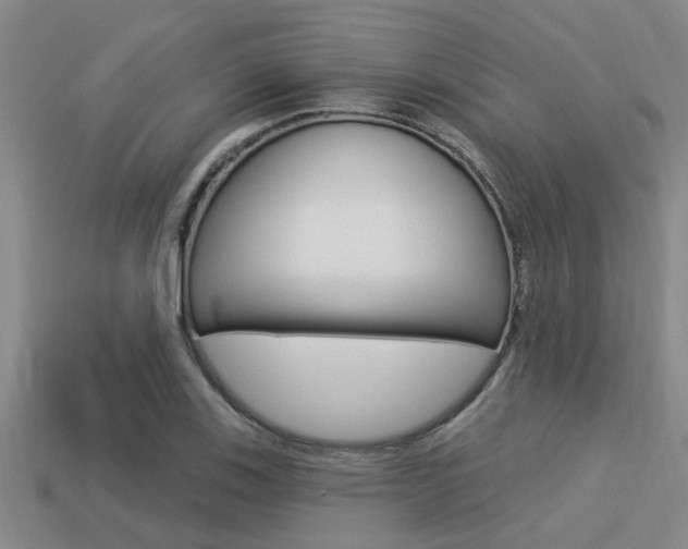 X0000113301123200909140940