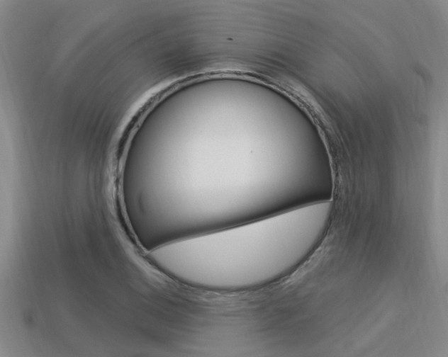 X0000113301124200909140940