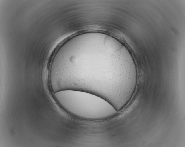 X0000113301125200909140940