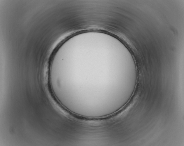 X0000113301126200909140940