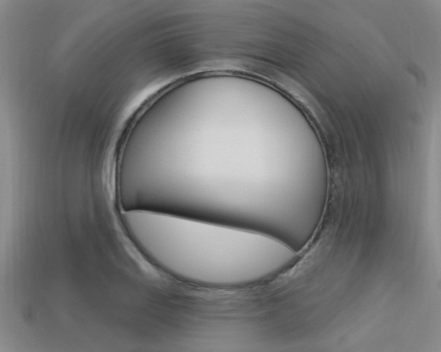 X0000113301127200909140940