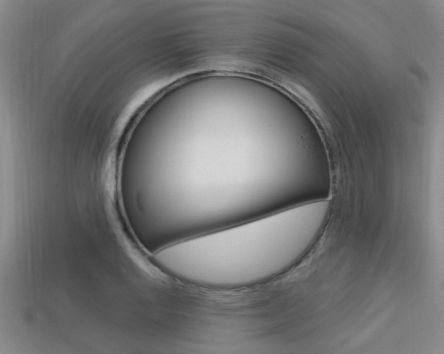 X0000113301128200909140940