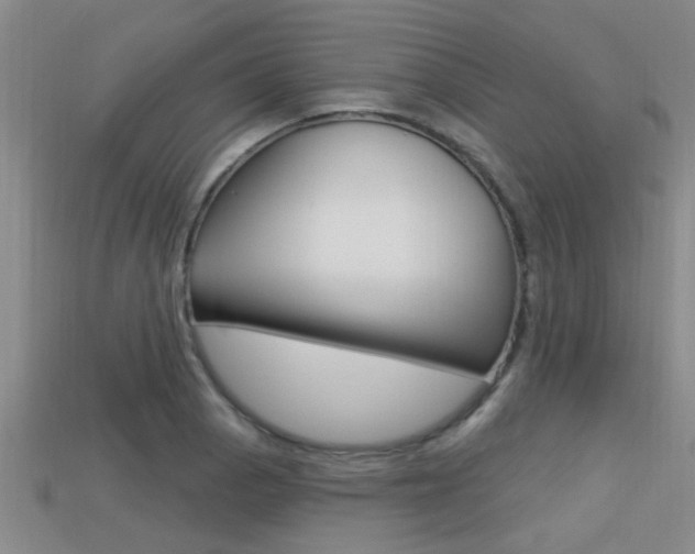 X0000113301129200909140940