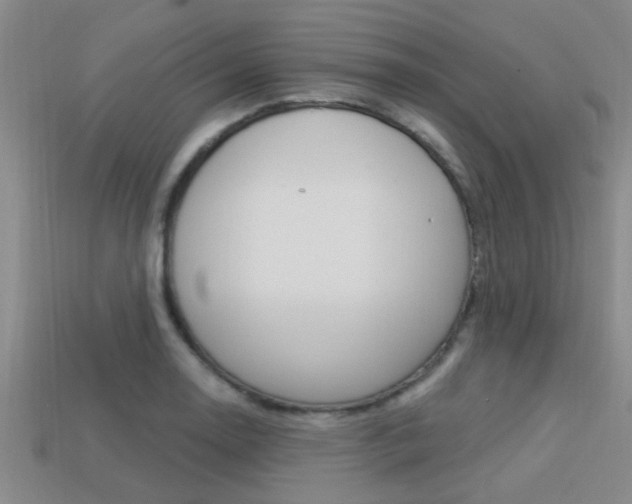 X0000113301130200909140940