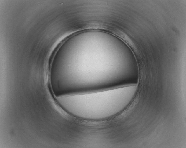 X0000113301132200909140940