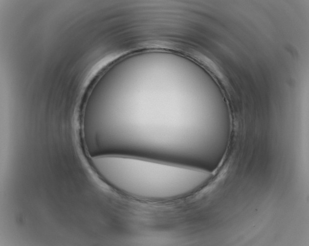 X0000113301133200909140940