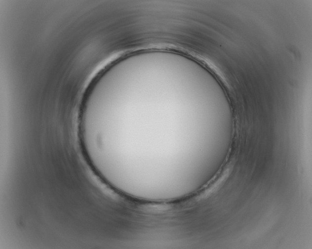 X0000113301134200909140940