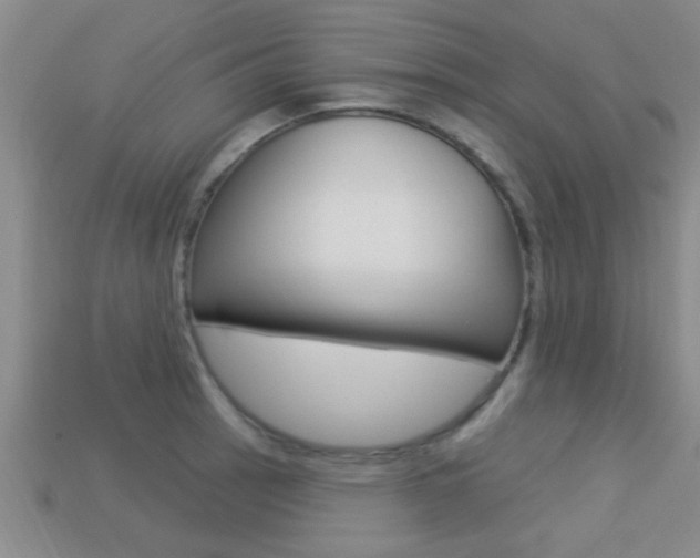 X0000113301137200909140940