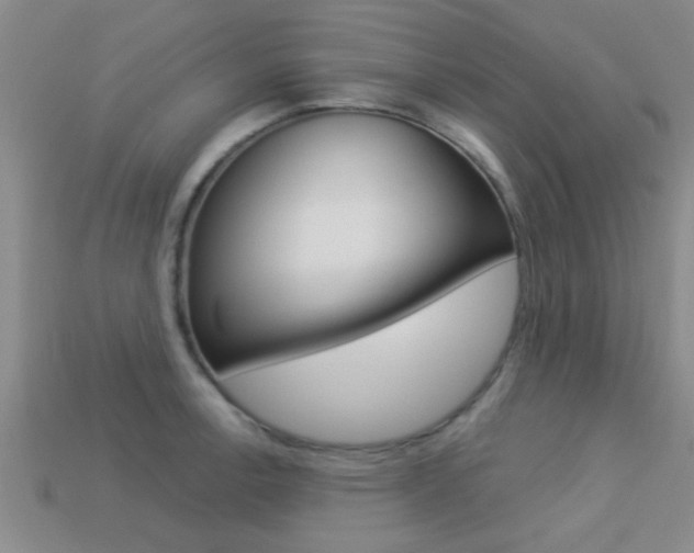 X0000113301138200909140940