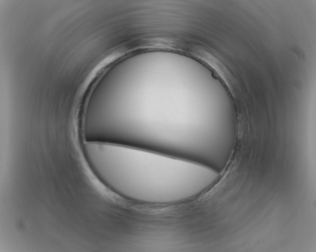 X0000113301139200909140940