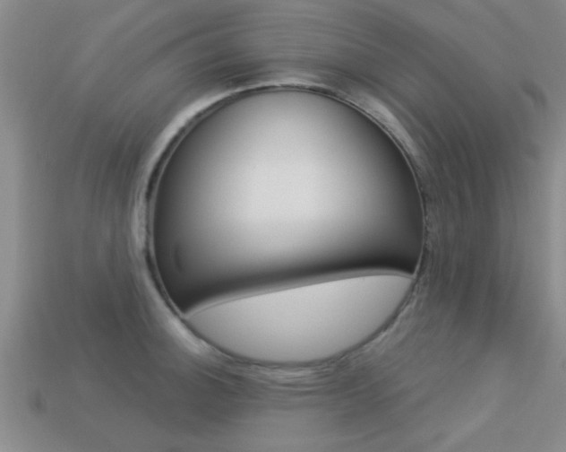X0000113301140200909140940