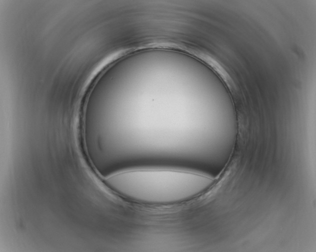 X0000113301142200909140940