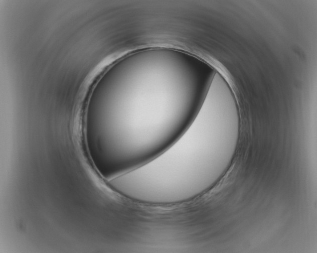 X0000113301144200909140940