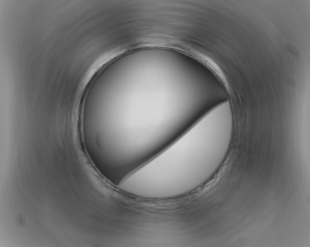 X0000113301146200909140940