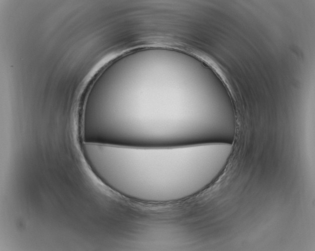 X0000113301147200909140940