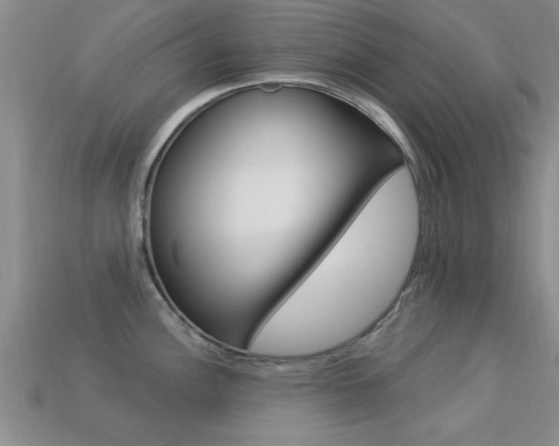 X0000113301148200909140940