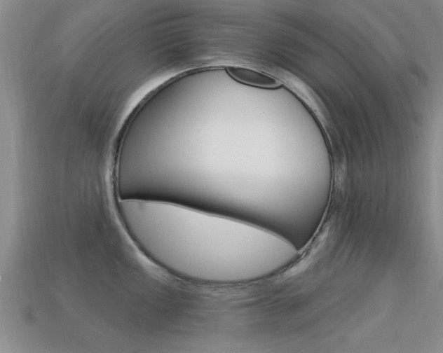 X0000113301149200909140940