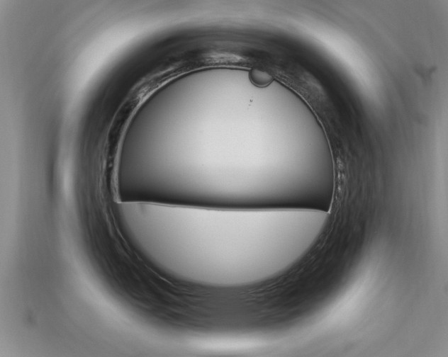 X0000113301151200909140940