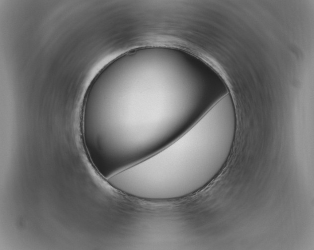 X0000113301152200909140940