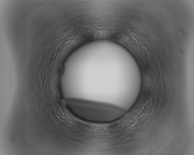 X0000113301153200909140939