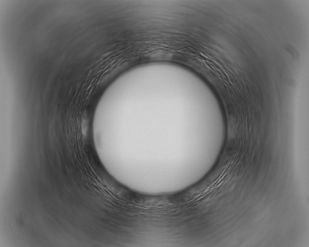 X0000113301154200909140939