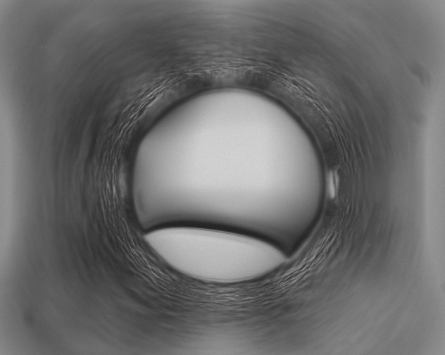 X0000113301155200909140939